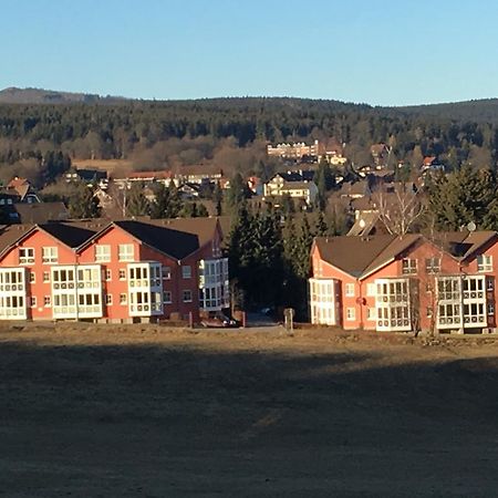 Apartment Gosch An Der Skiwiese Браунлаге Екстер'єр фото